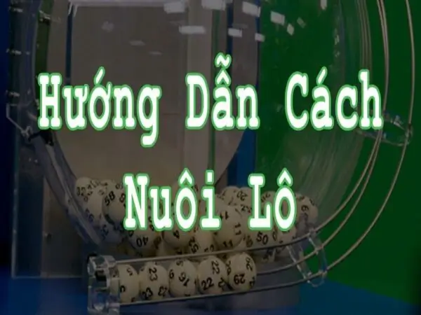 Trường hợp nên và không nên áp dụng nuôi lô khung 247