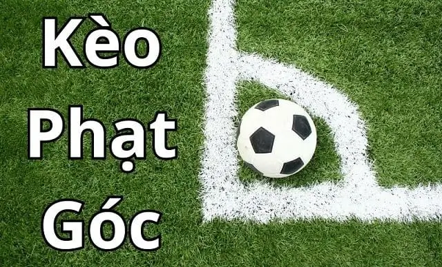 Cách Soi kèo phạt góc tại MKSport