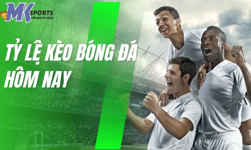 Khái niệm về soi kèo bóng đá MKsports