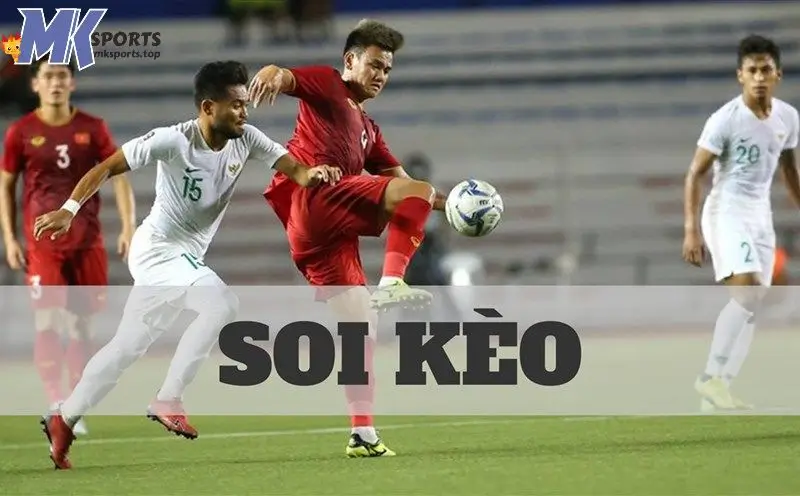 Những bí quyết soi kèo bóng đá đạt hiệu quả cao tại Mksports