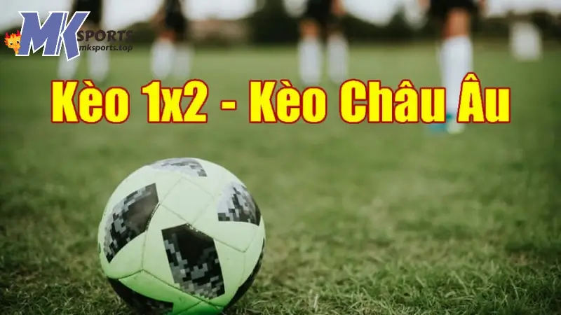 Kinh nghiệm soi kèo Châu Âu tại MKsports