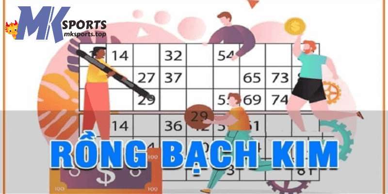 Giới thiệu về dịch vụ soi cầu rồng bạch kim tại MKsports