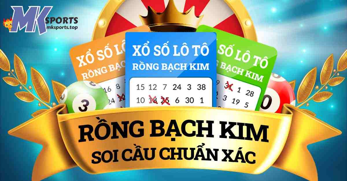 Những phương pháp sử dụng dịch vụ soi cầu rồng bạch kim chính xác